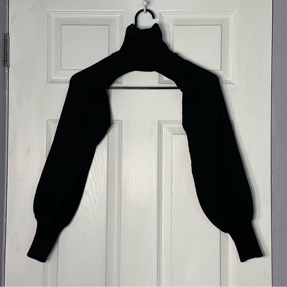- [ ] Black Turtle Neck Ultra Cropped Sweater